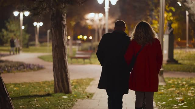 年轻夫妇在冬夜散步视频下载