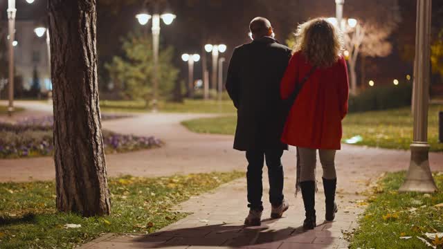年轻夫妇在冬夜散步视频素材