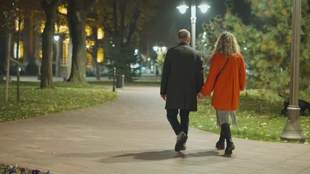 年轻夫妇在冬夜散步视频下载