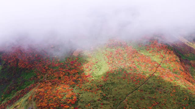 秋季云海航拍图视频素材