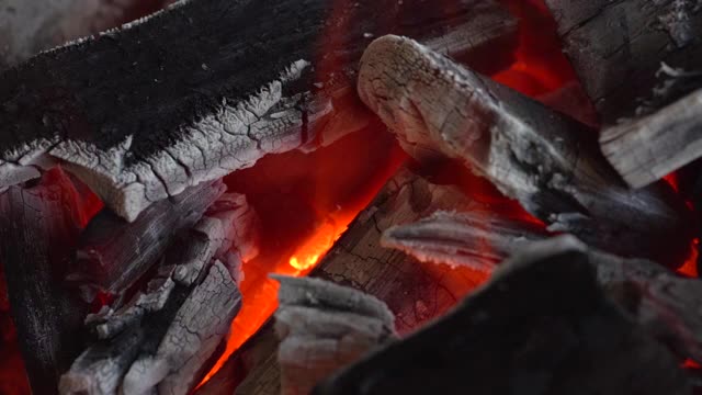 慢镜头红色火焰燃烧在木炭上烹饪食物视频素材