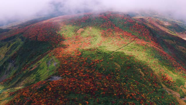 秋季云海航拍图视频素材