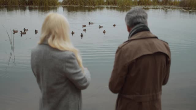 老女人和男人往湖里扔面包喂鸭子，在乡下放松视频素材