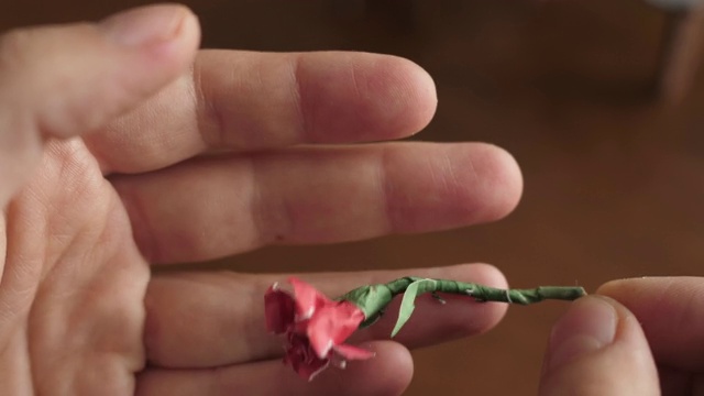 用粘土和纸做成玫瑰红花视频下载