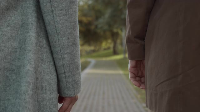一对相爱的人手牵手，一起在公园散步，浪漫的约会视频素材