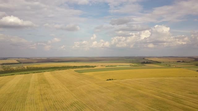 空中的乡村景观，点缀着黄色的农田和蓝天白云。视频素材