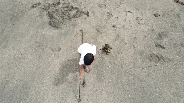 一个孩子在沙滩上玩耍的鸟瞰图视频下载
