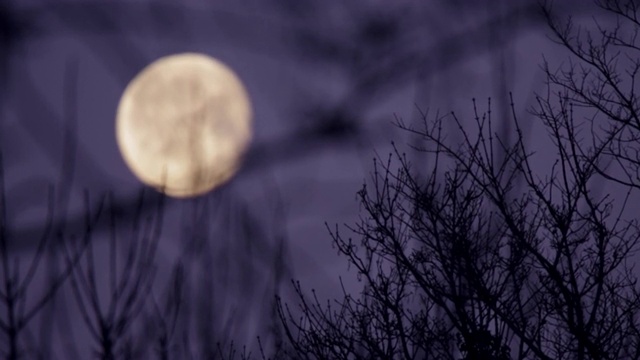 月亮升起的机架焦点视图视频下载