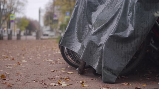 空旷的巴甫洛夫斯克公园在秋天，阴天雨天，停车场上出租自行车视频下载