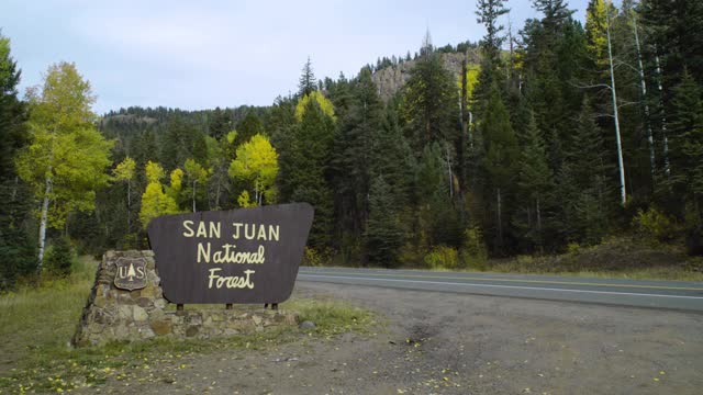 圣胡安国家森林地区的标志就在道路两旁的树木之间视频下载