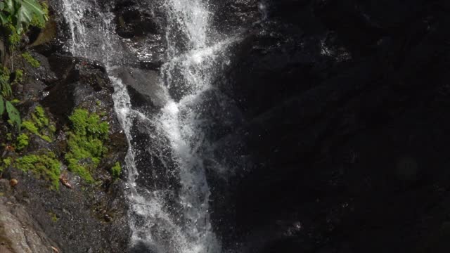 瀑布在森林倾斜拍摄慢动作视频素材