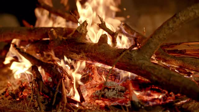 森林里篝火的煤块特写视频素材