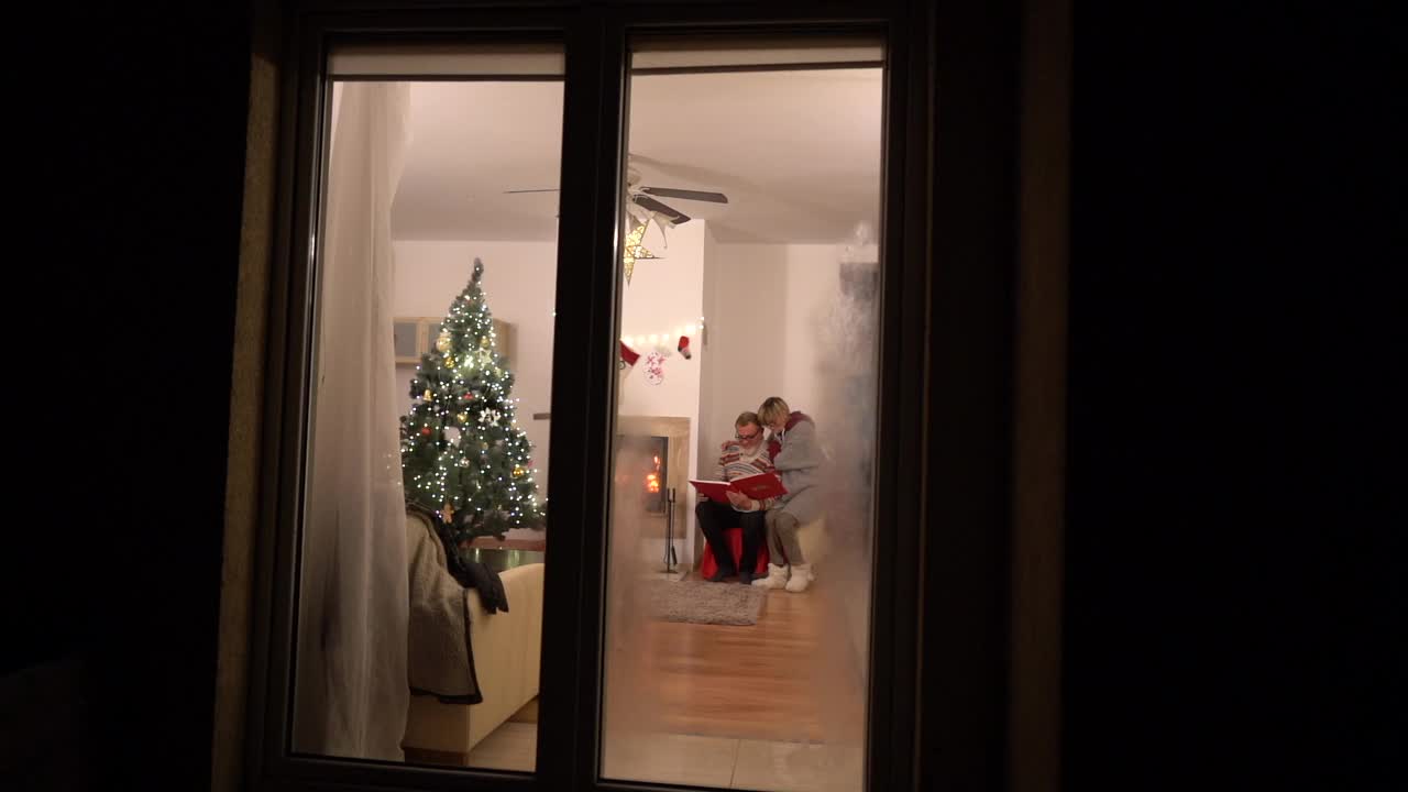 一个幸福的家庭，一对老夫妇，他们的女儿和小孙子和一只狗在圣诞节晚上在壁炉旁玩得很开心。阖家欢度圣诞，窗外景色霜视频下载