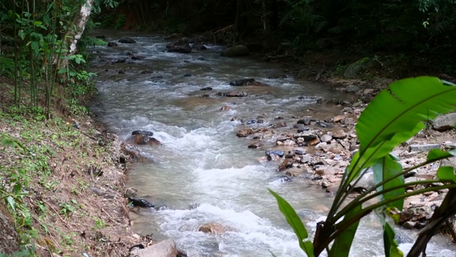 湍急的山河从泰国热带雨林的瀑布流过视频素材