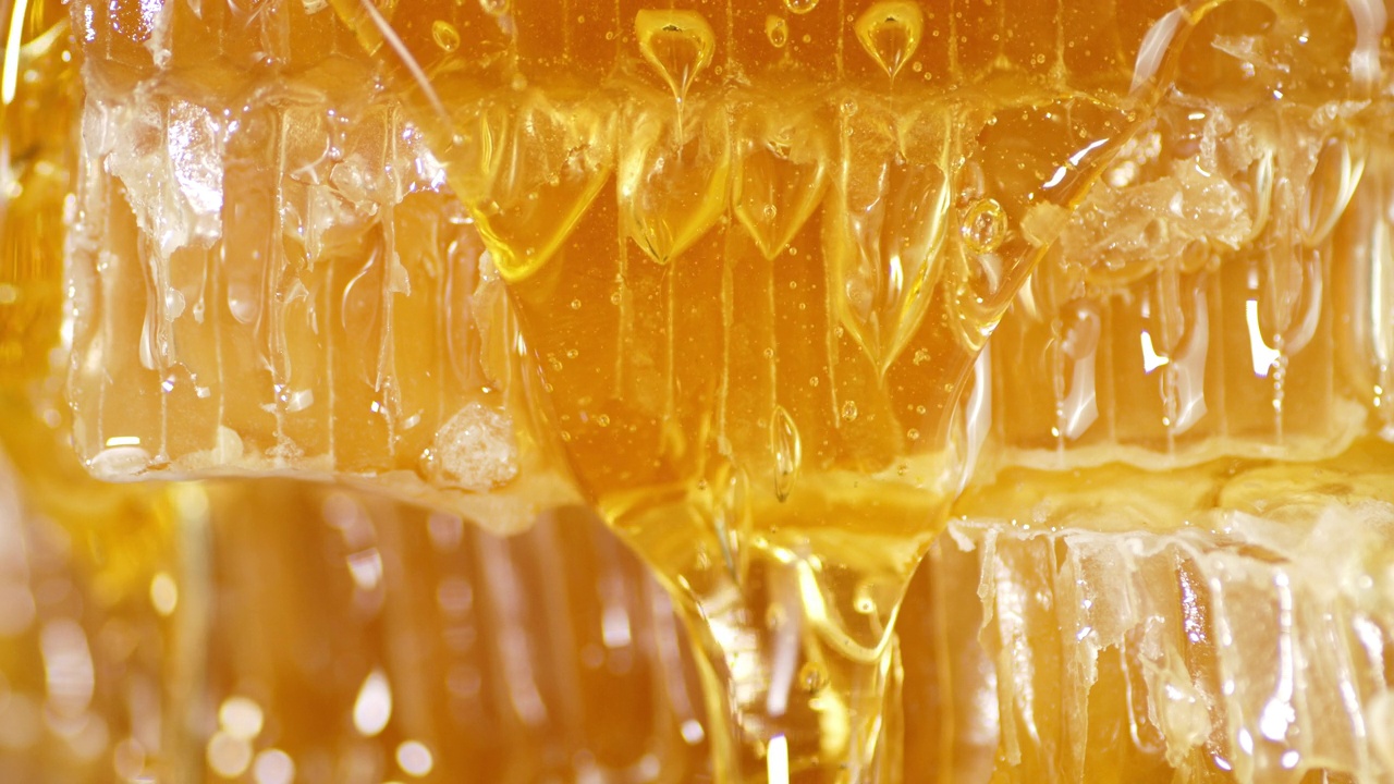 一滴滴新鲜的蜂蜜缓缓地流下来。宏观背景。视频下载