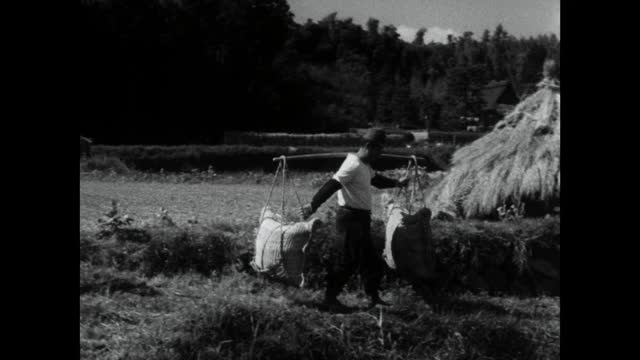 在日本，男男女女忙于收集成袋的大米;1964视频下载