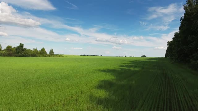 夏季绿地鸟瞰图，4k视频素材