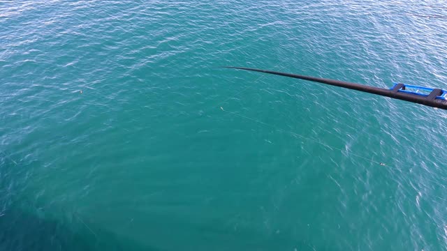 鱼竿在海里。在清澈的海水里钓鱼。视频下载