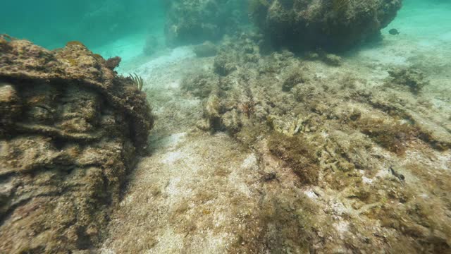 水下，pov，潜水，阿内加达海岸，英属维尔京群岛视频素材