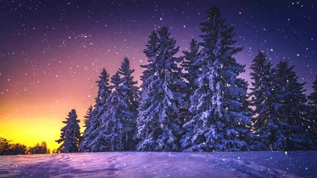 冬天的背景。圣诞主题背景视频视频素材