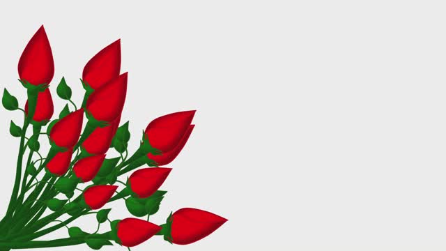 动画贺卡与文字“你好夏天”和红玫瑰。在白色和透明的背景上。视频下载