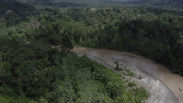 鸟瞰图的木制独木舟驾驶的河流是弯曲通过热带雨林视频素材