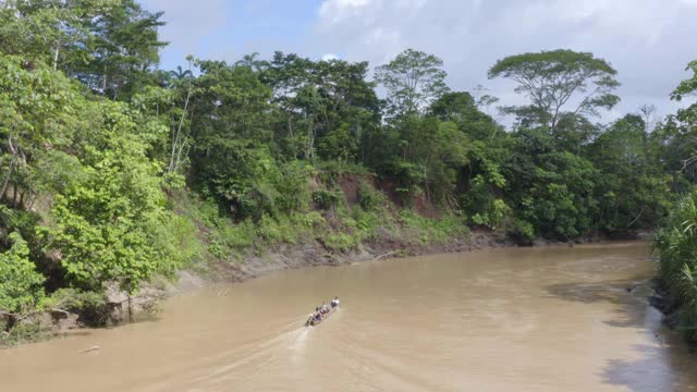 鸟瞰图的一个木制的独木舟，是驾驶在一个大的棕色河流的热带雨林视频素材