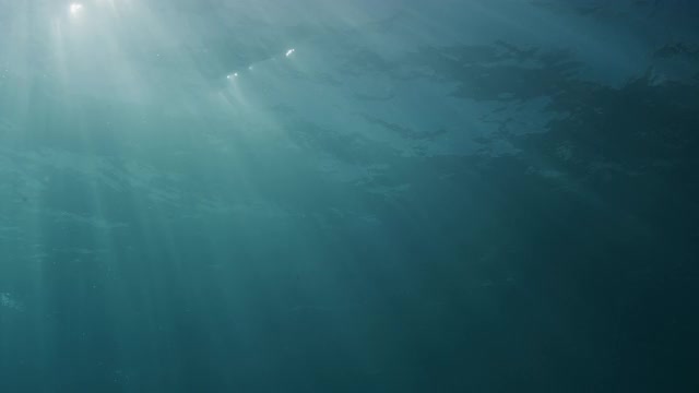 水下海洋景观与阳光在表面视频素材