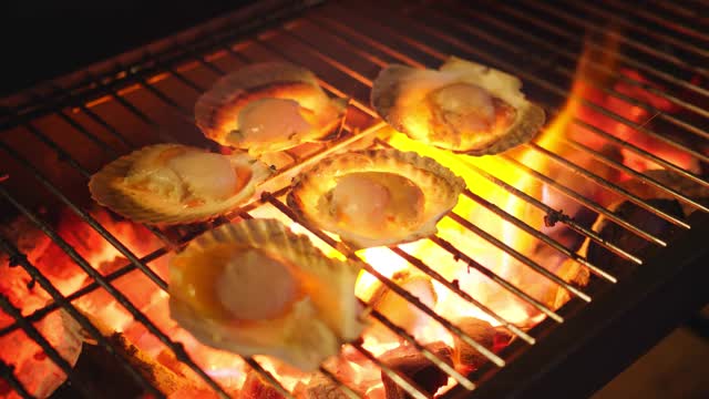 大鲜扇贝壳海鲜用木炭在金属网上烧烤，烧烤在野外露营烧烤烹饪风格视频下载