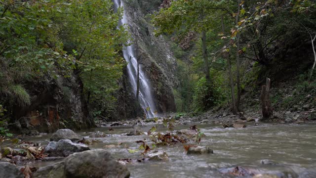 瀑布在森林的中央以其原始的声音视频素材