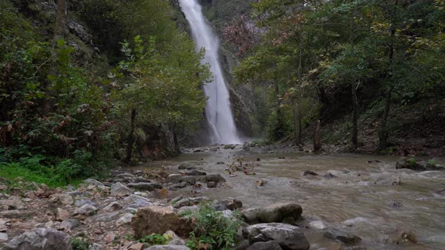 瀑布在森林的中央以其原始的声音视频素材
