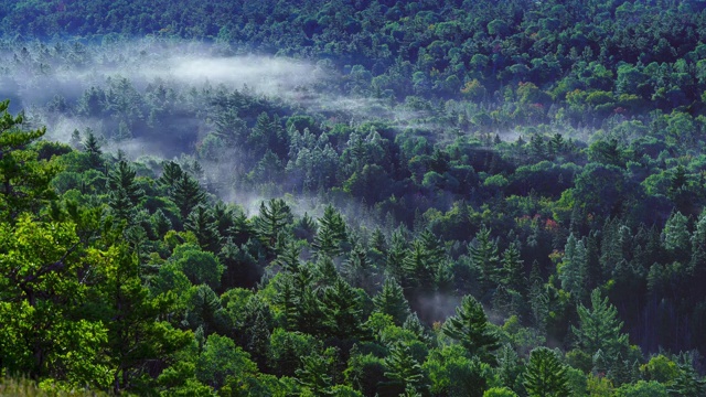 雾在山谷中移动的时间间隔视频下载