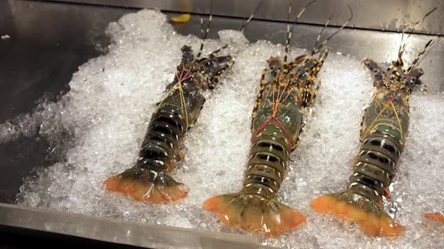 当天新鲜捕捞的海鲜。亚洲食品市场。龙虾在冰上视频下载
