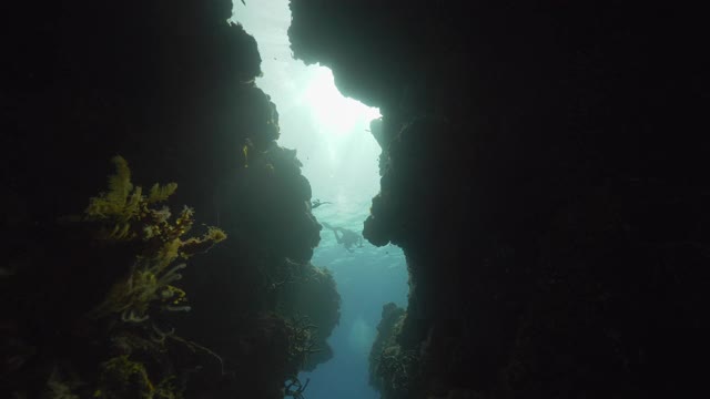水下，波夫，一个不知名的潜水员在两个巨大的珊瑚礁之间，巴哈马群岛视频素材