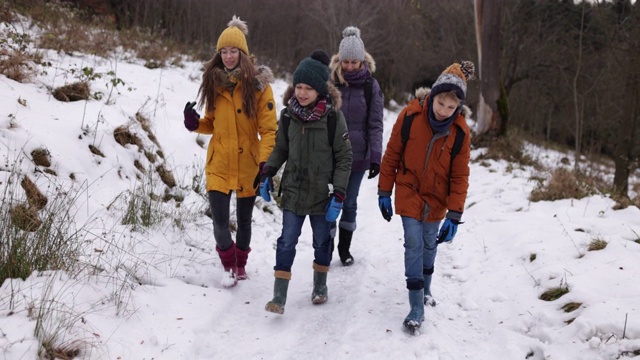 冬季家庭徒步旅行视频素材