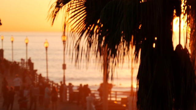 人们在行走，美国加州的木码头。海滨度假旅游胜地。视频素材