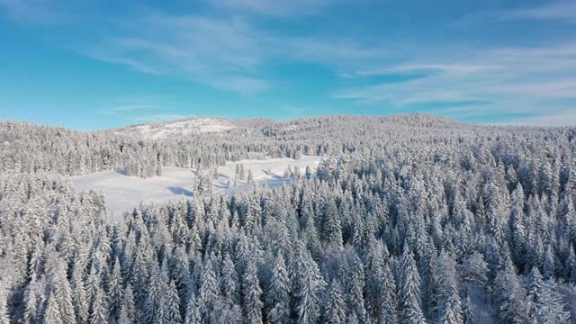 无人机拍摄的白雪覆盖的森林。视频素材