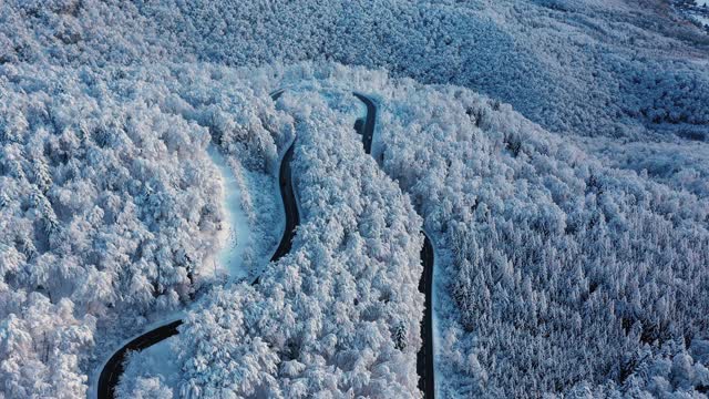 无人机拍摄的白雪覆盖的森林中的一个山口。视频素材