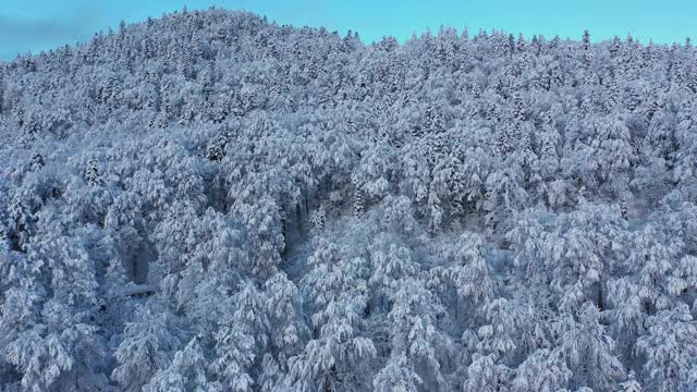 无人机拍摄的森林被新雪覆盖的惊人画面。视频素材