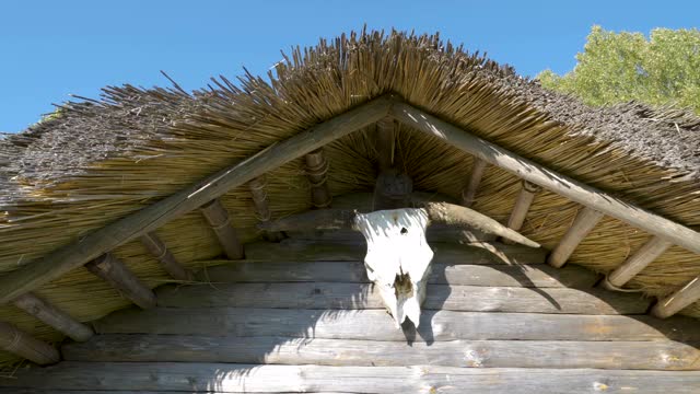 爱沙尼亚木制房子上的公羊头雕塑视频素材
