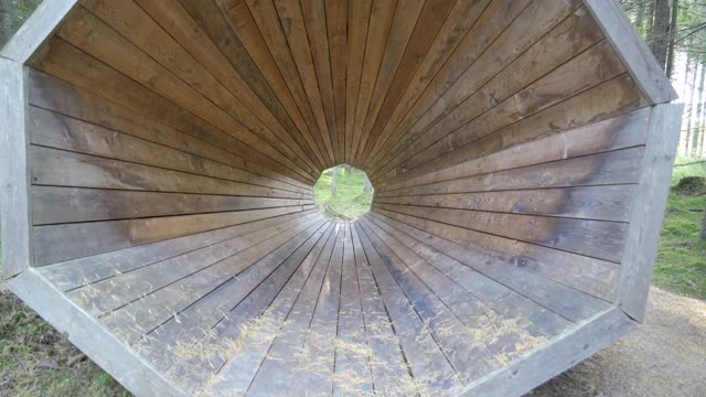 在爱沙尼亚的森林草坪上，巨大的木头滚动着视频素材