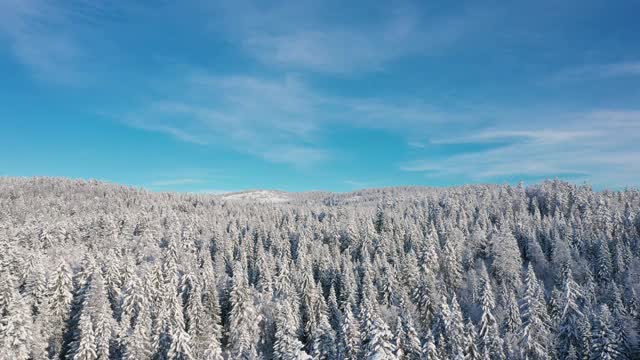 无人机拍摄的白雪覆盖的森林。视频素材