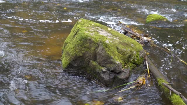 爱沙尼亚诺梅维斯基河上的大石头视频素材
