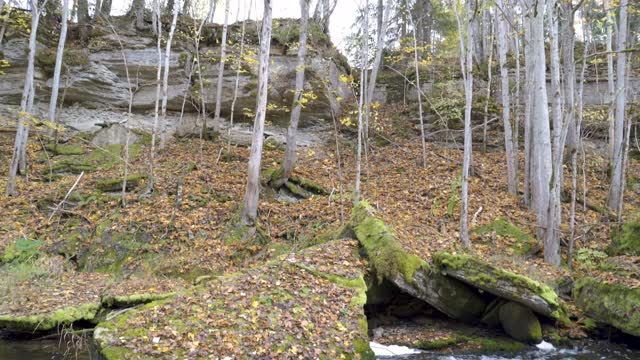爱沙尼亚诺梅维斯基河岸边的巨石视频素材