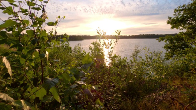 多彩的和戏剧性的日落在自然森林湖泊景观视频素材