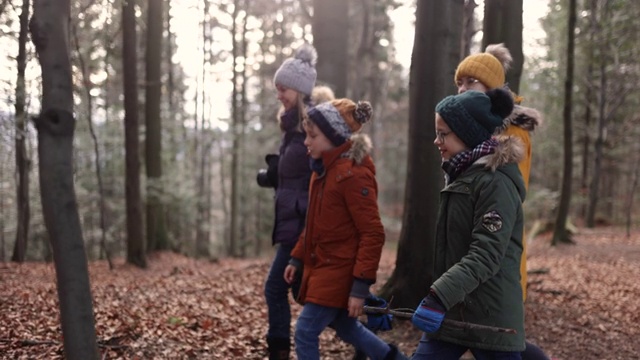 一家人在秋天的森林里散步视频下载