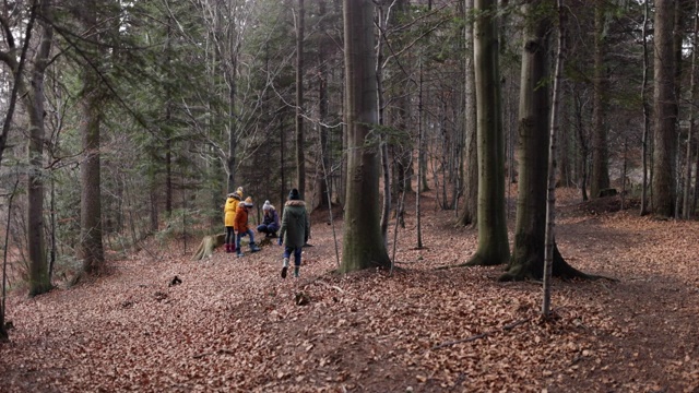 一家人在秋天的森林里散步视频素材