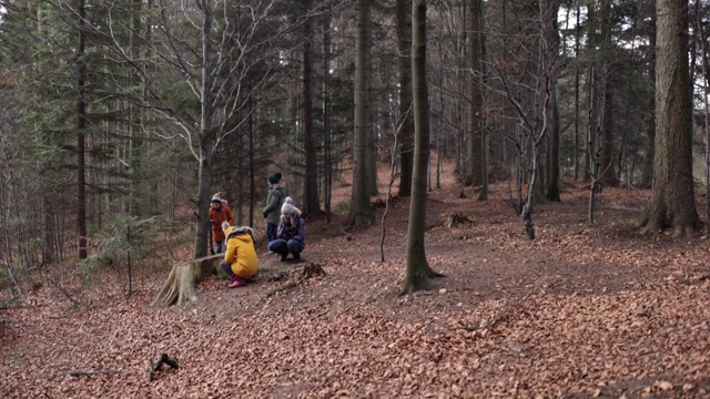一家人在秋天的森林里散步视频素材
