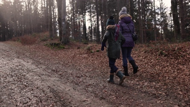 母亲和儿子走在秋天的森林里视频素材
