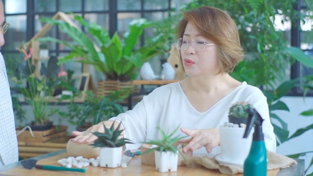 亚洲老夫妇在家里享受照顾室内植物花园。视频素材
